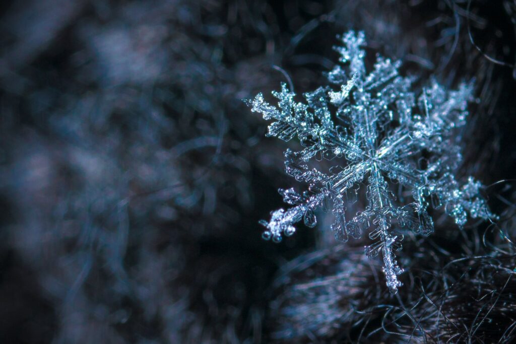 Winter Solstice